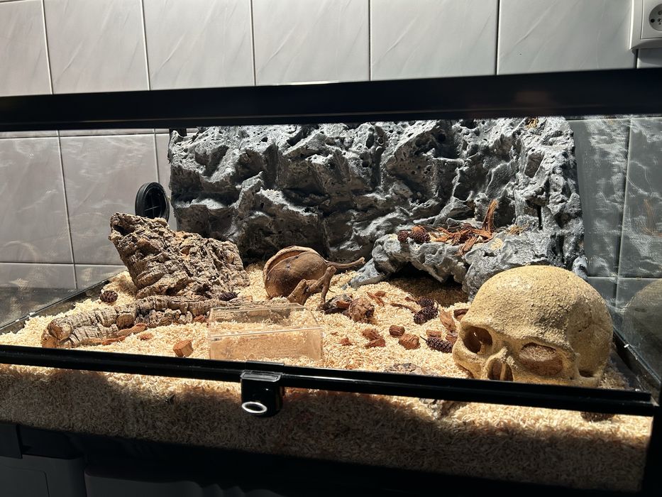 Sprzedam terrarium Repti-Zoo w komplecie ze ścianką