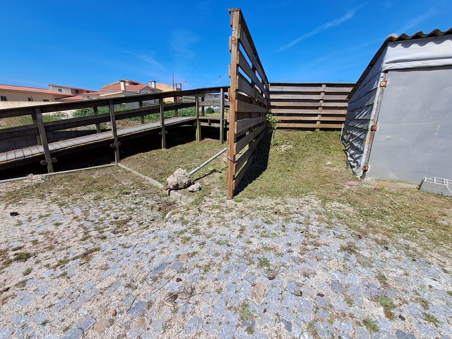Limpezas de terrenos