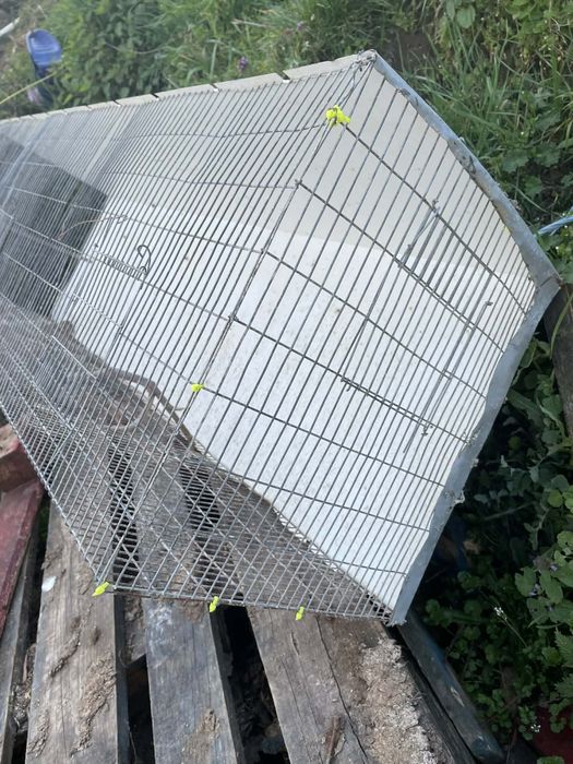 Tenho uma gaiola para vender