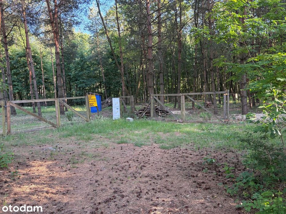 Działka budowlana 1505 m² , ogrodzona, prąd, Wężyk, gmina Grodzisk Maz