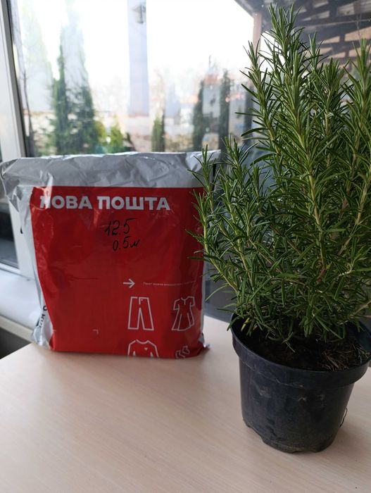 Каолиновая вата 12,5 мм 0,5 м.п. 61 см ширина, негорючее одеяло