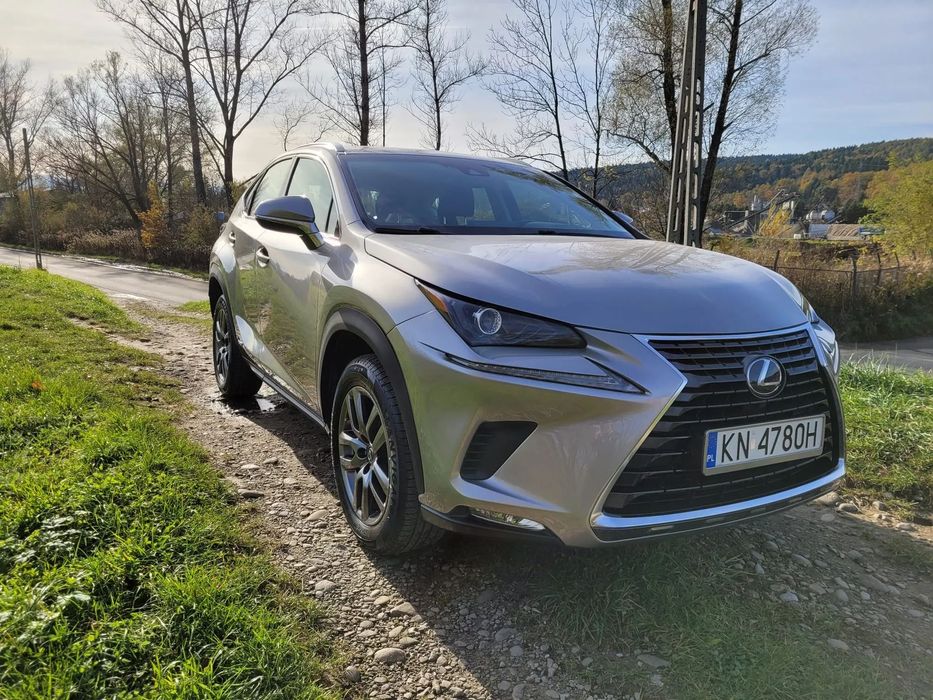 Lexus NX Lexus nx mały przebieg, zadbany