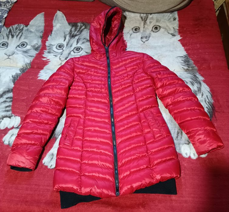 Kurtka zimowa damska 36/38.