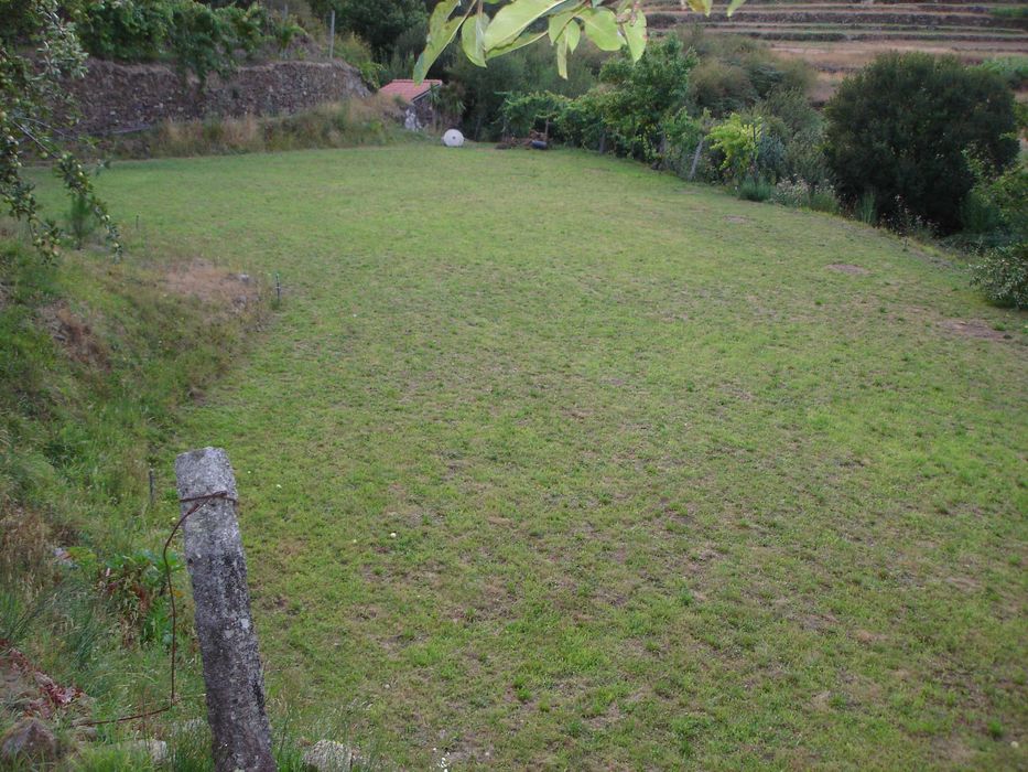 Limpeza de terrenos e jardins (Litoral norte)