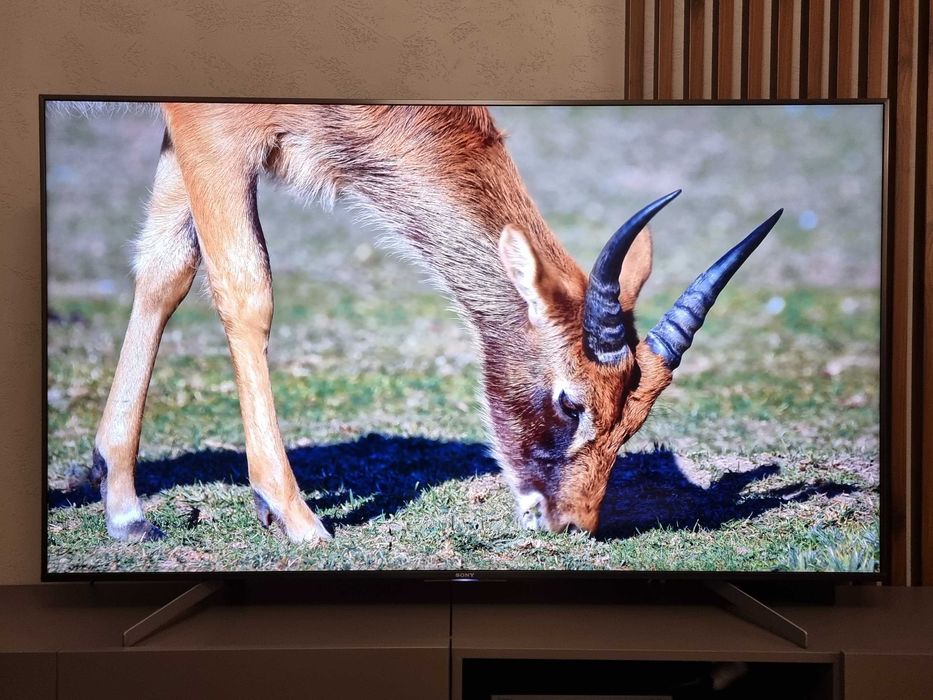 Telewizor Sony Bravia KD-65XG8596 4K HDR 65 cali