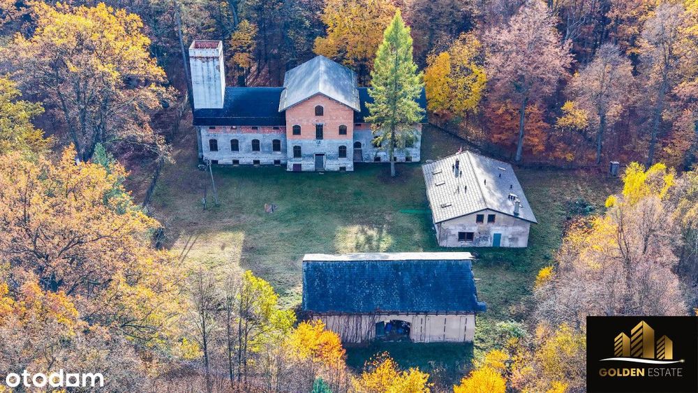 Historyczny pałac na sprzedaż!