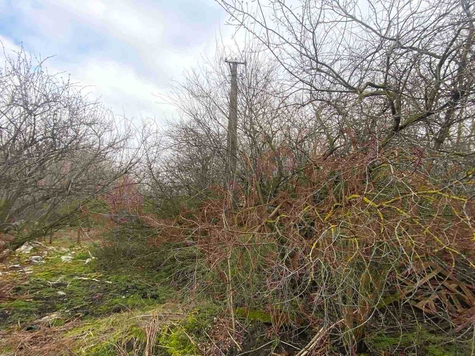 ділянка з приміщенням теплиці та правом власності у Плотичі