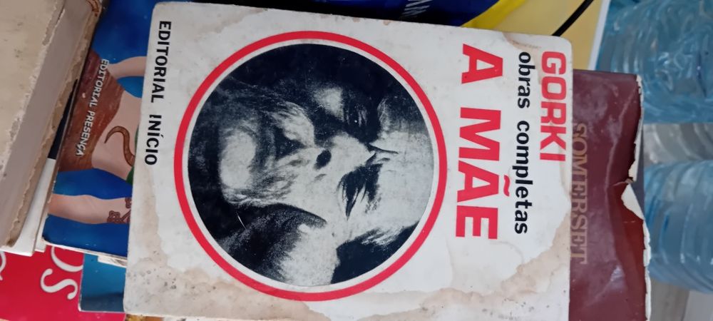 Livro a mãe de Gorki