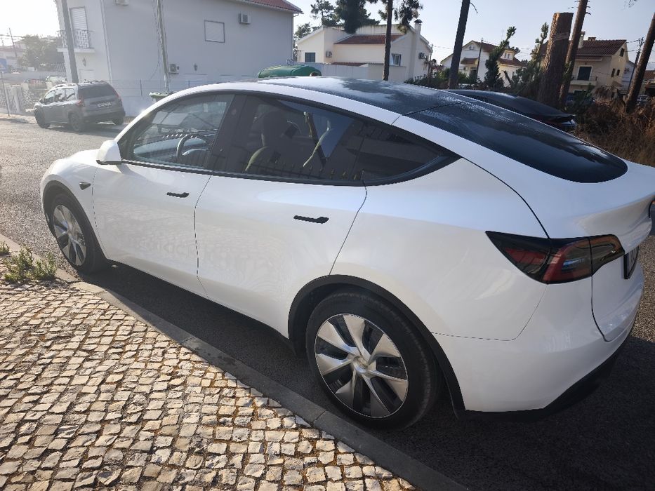 Tesla  y standard