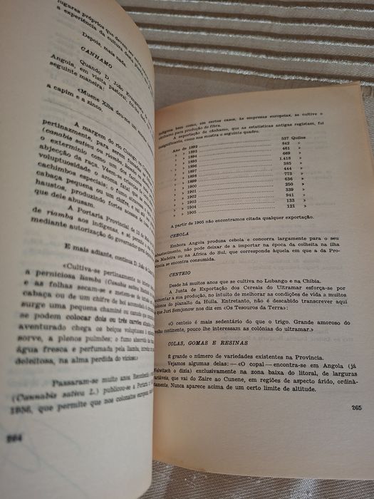 Angola Exemplo de Trabalho