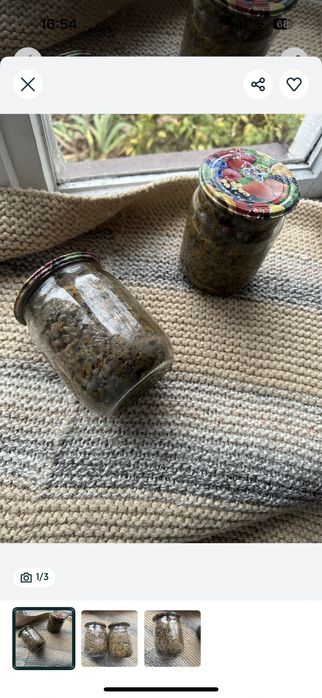 Гриби мариновані опеньки польсий білий синяк