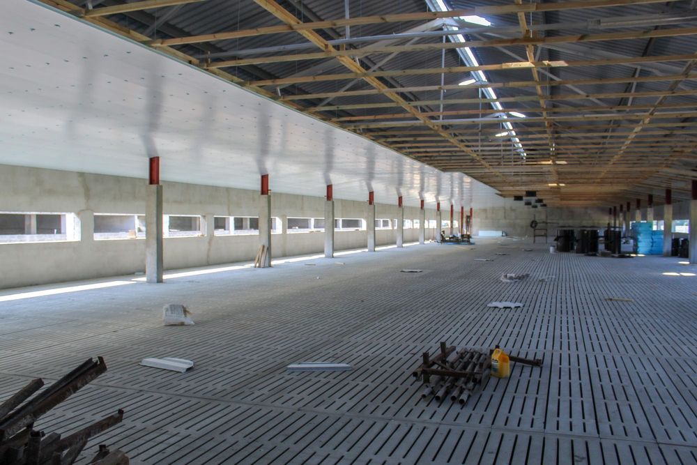 Podbitka Do Chlewni Płyta Izolacyjna Niebieska Styrodur XPS AGRO