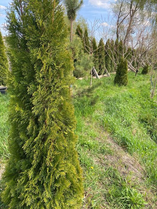 Участок  со своим озером  под застройку дома или базы! ! Собственник!