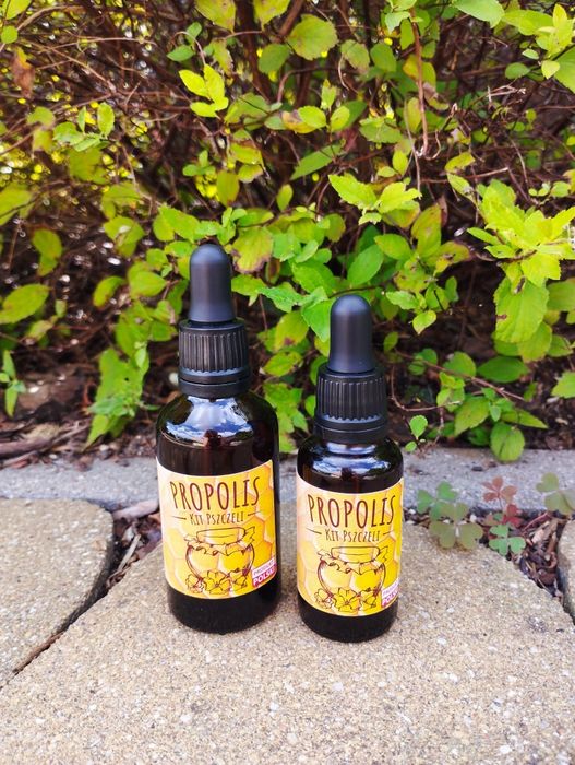 Ekstrakt z propolisu  100ml 20%