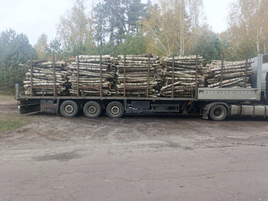 Дрова Берёза Кругляк ОПТ с Доставкой в Киев