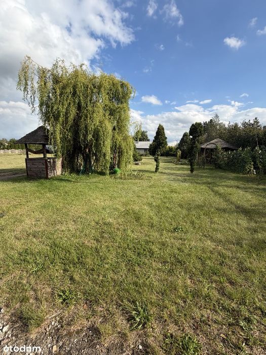 Sprzedam Działkę - 13 441 m² – Nowe Koziminy, gmina Płońsk