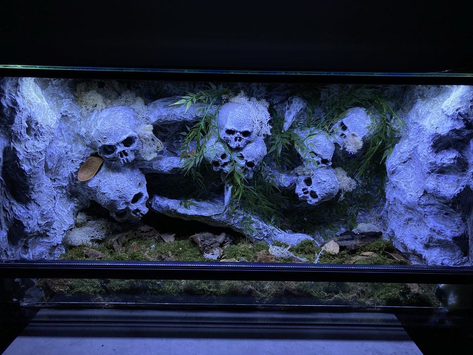 Terrarium 100/40/40 nowe full wypas gekon wąż jaszczurka agama gad