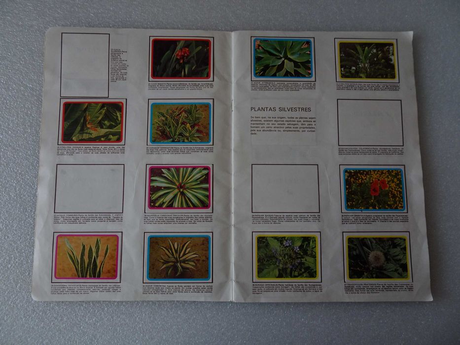 Caderneta de cromos incompleta Botânica, Plantas, Flores e Frutos (f46