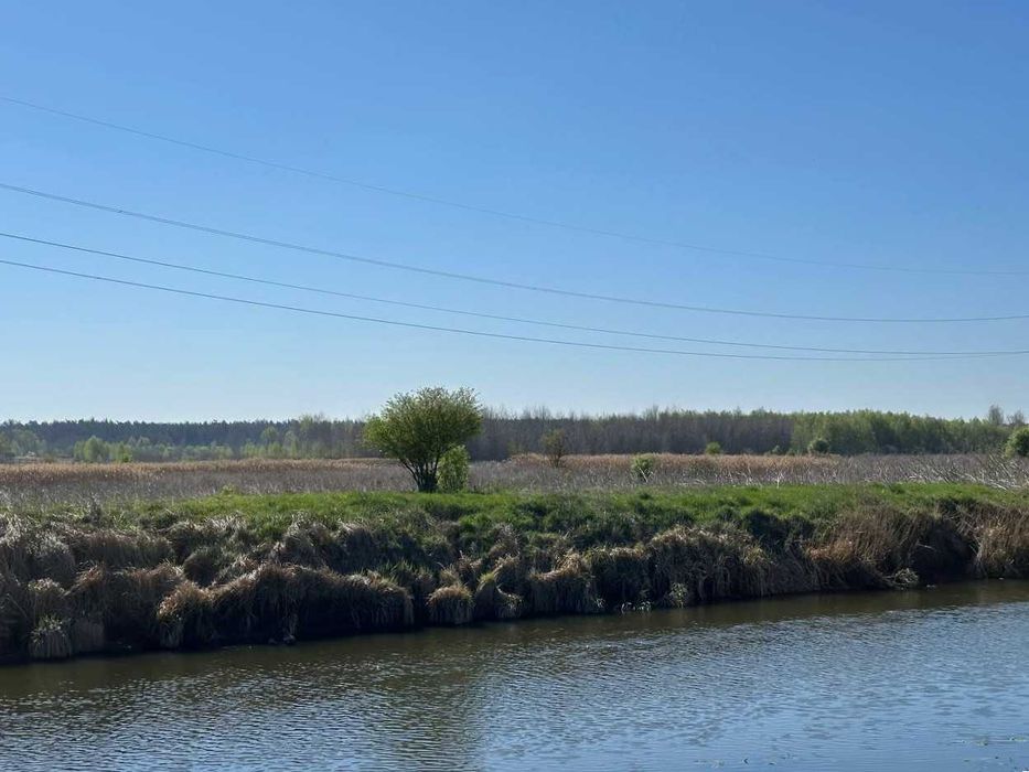 Продаж ділянки Ірпінь 60 соток ОСГ