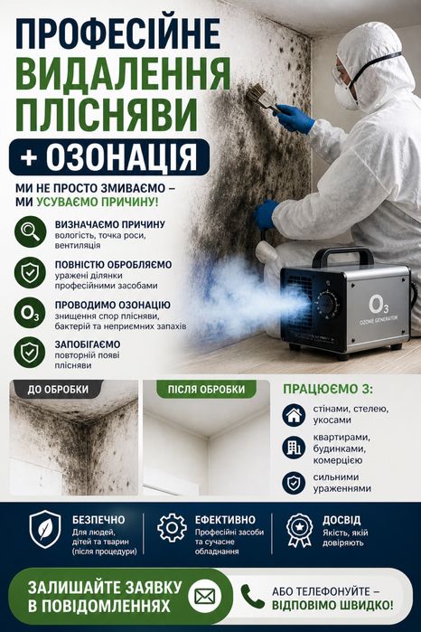 Професійне виведення плісняви