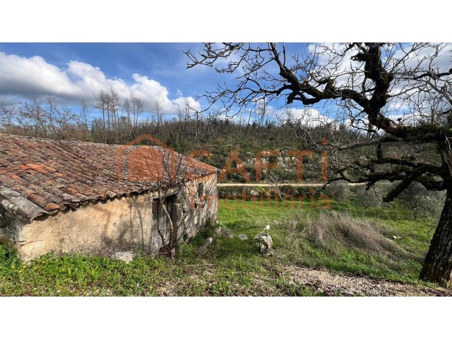 Ruína T2, Com Terreno De Cultivo A Confrontar Com O Ribeiro.