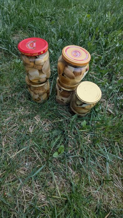 Мариновані білі гриби.  Грибы белые