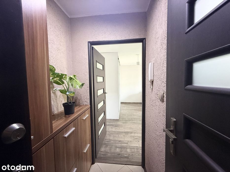 Zdjęcie 8