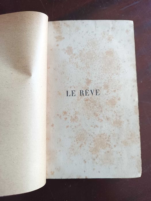 LE RÊVE - Émile Zola