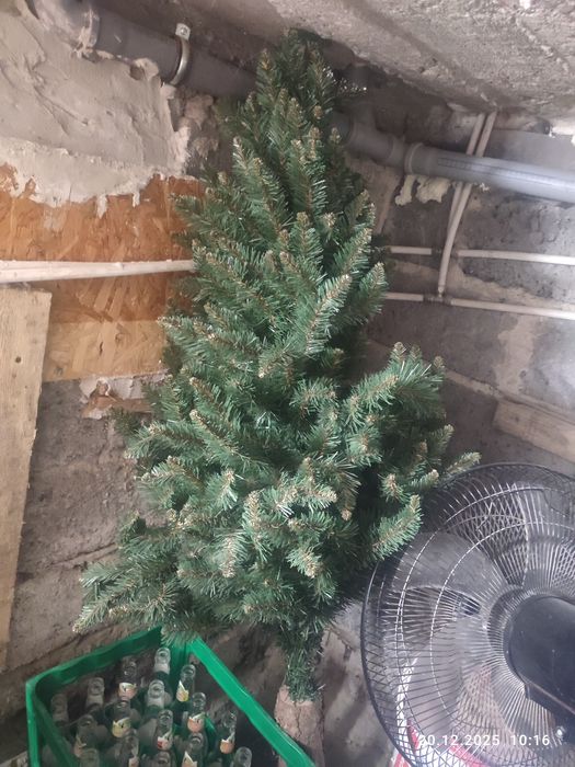 Choinka na pniu stuczna