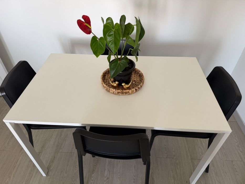 Vendo conjunto de mesa com cadeiras