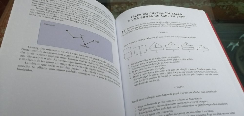 Livro Perigoso para Rapazes
