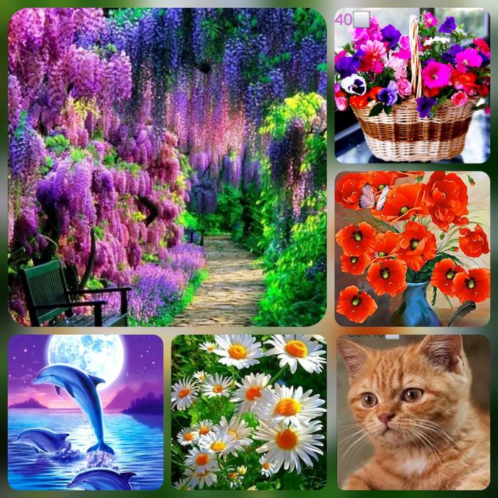 Алмазна мозаїка( вишивка)