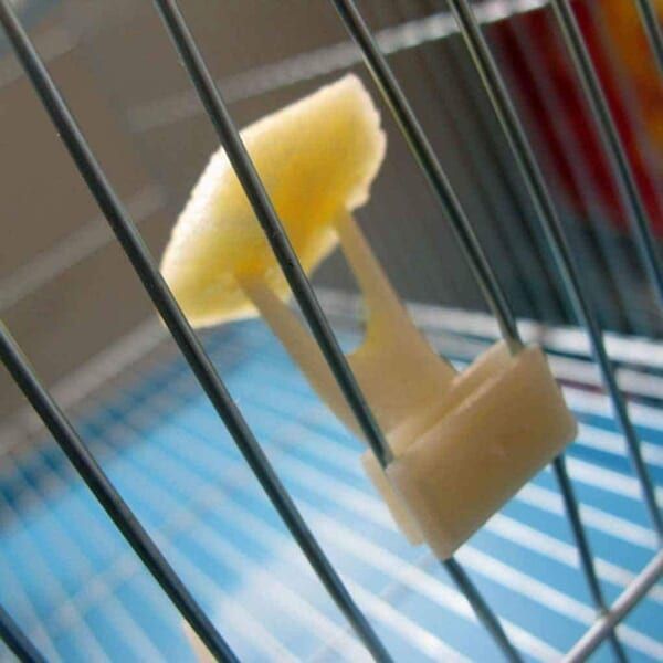 Garfo para fruta, legumes ou vegetais, encaixe para gaiolas, pássaros64552490916482120