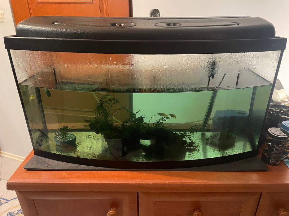 Akwarium 112 l pokrywa bez oświetlenia