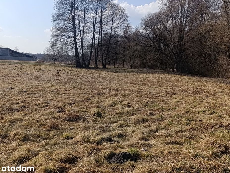 Sprzedam dom, działki budowlane, pole