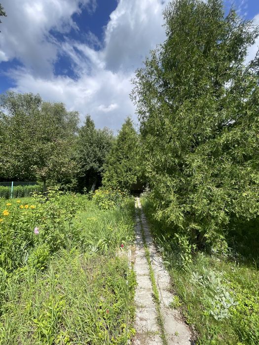 Продам дачу Чисті пруди біля річки