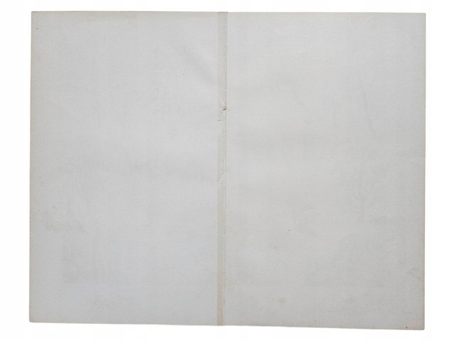 Rycina Steppenpflanzen 1893 Meyers Lexikon Oryginał