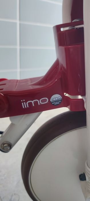 Triciclo evolutivo iimo