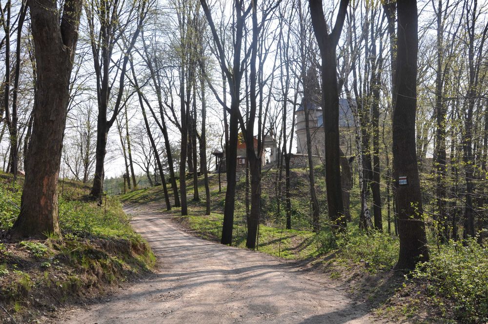 Domek k/Ojców, Park, ustronne, piękne miejsce, absolutna cisza