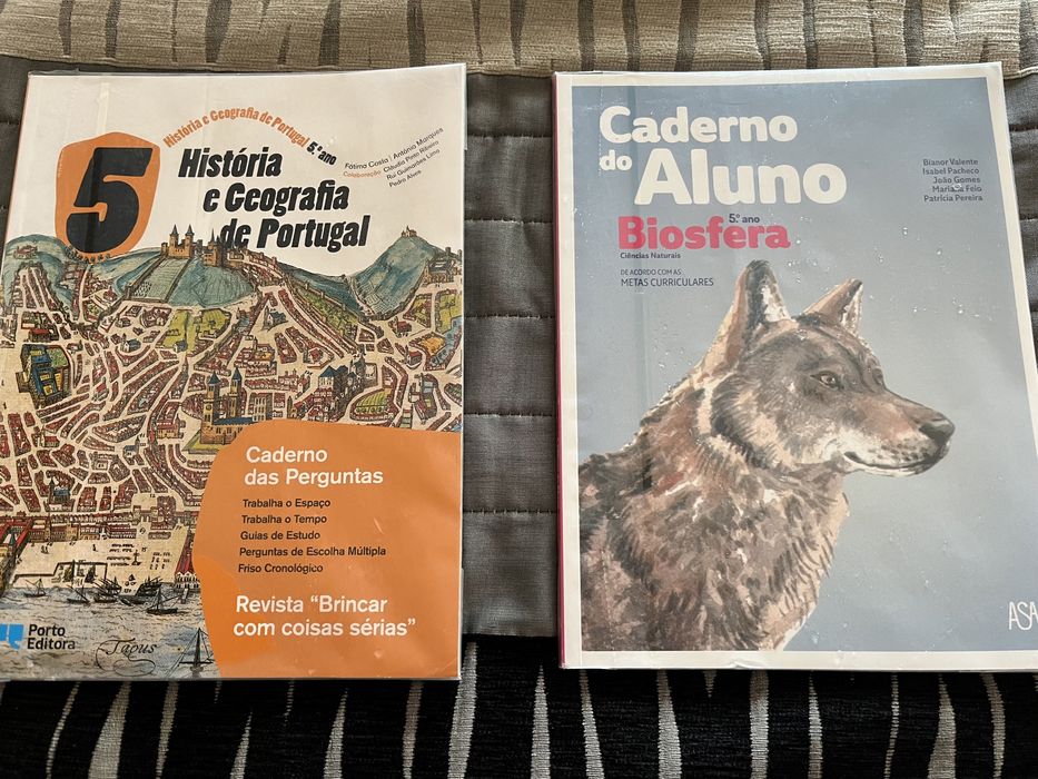 Vendo livros escolares com Caderno de Atividades (Novos)