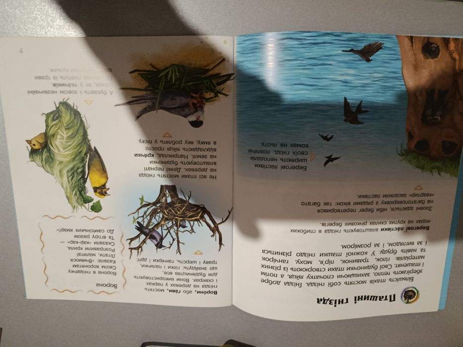 Книга Птахи Енциклопедія дошкільника
