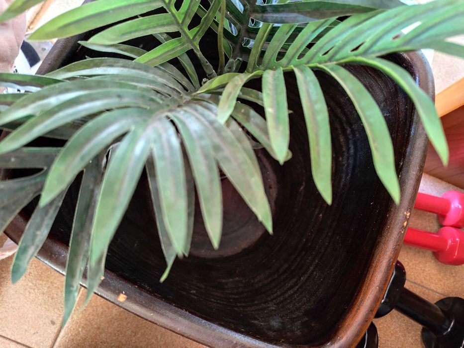 Conjunto dois vasos castanho