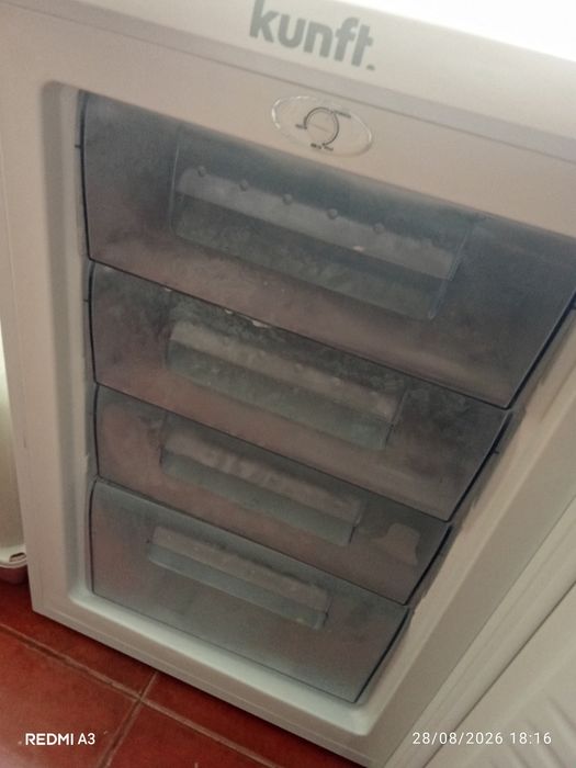 Vendo Arca congeladora
