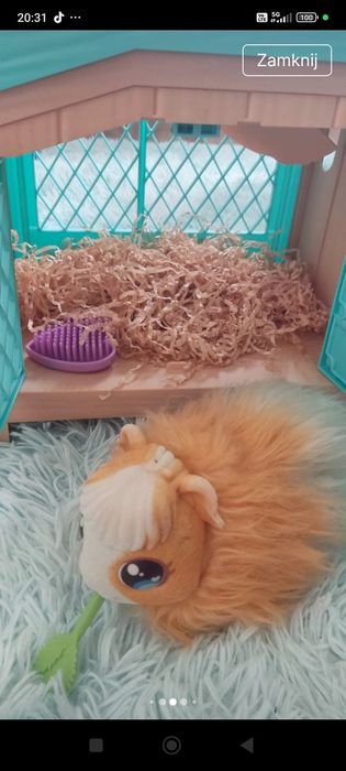 Little live pets świnka z młodymi