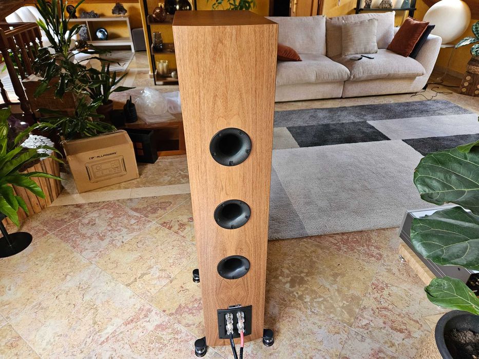 Coluna de chão Hi End Dali Rubikore 8 Natural Walnut