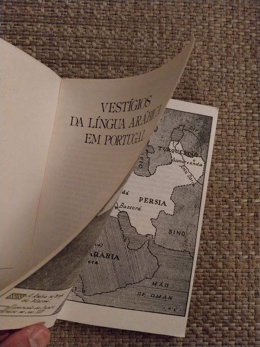 Vestígios da Língua Arábica em Portugal- Por Fr. João de Sousa