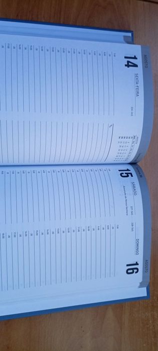 Agenda para 2026 A5