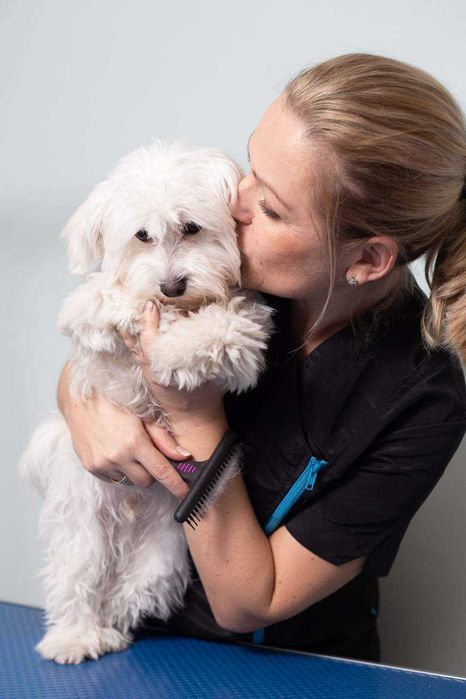 Kurs groomerski,  szkolenie groomerskie, kurs Strzyżenia psów