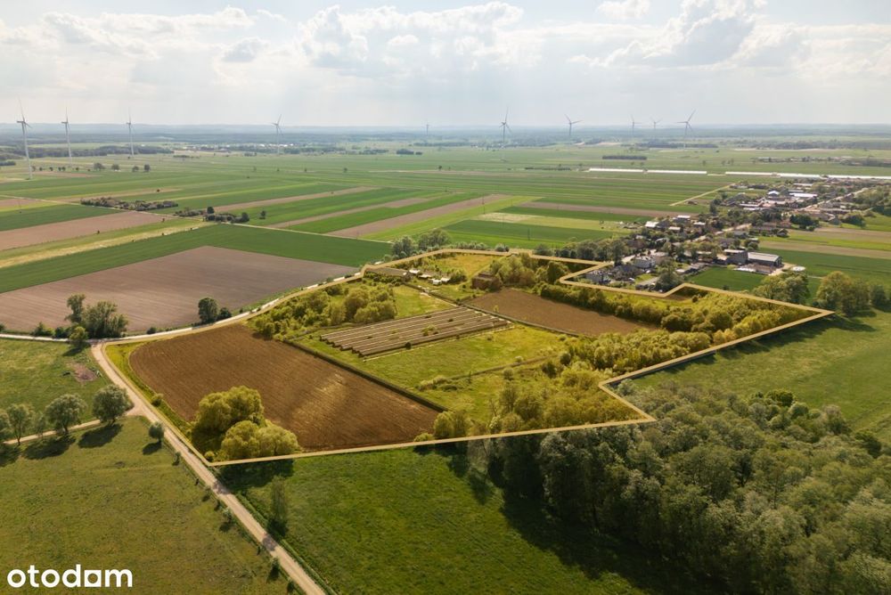 9,25 ha terenu inwestycyjnego z zabudowaniami - Widok 2