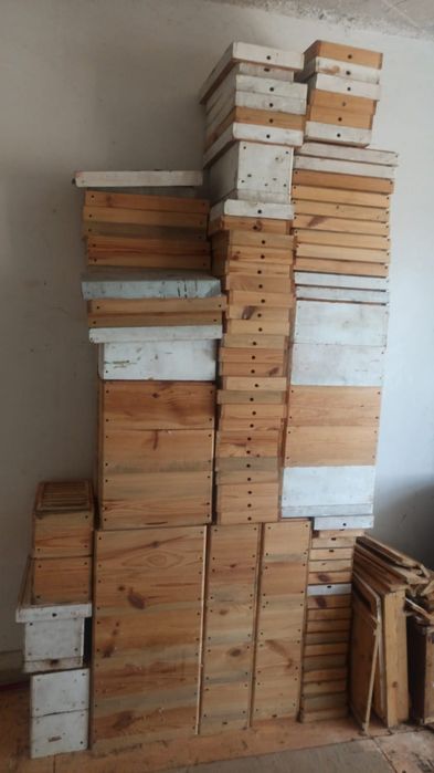 Продам нуклеусы для пчел